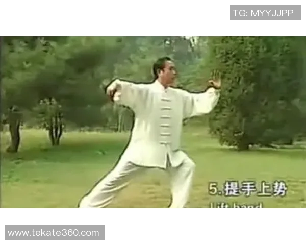 探索赵幼斌二十八式太极拳的精髓与实用技巧之旅 探索赵幼斌二十八式太极拳的精髓与实用技巧之旅