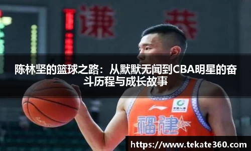 球速体育新版本