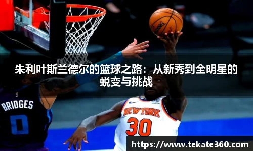 球速体育官方网站